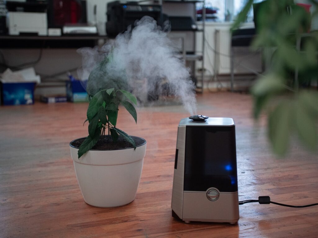 What You Need to Know About Air Purifiers What You Need to Know About Air Purifiers